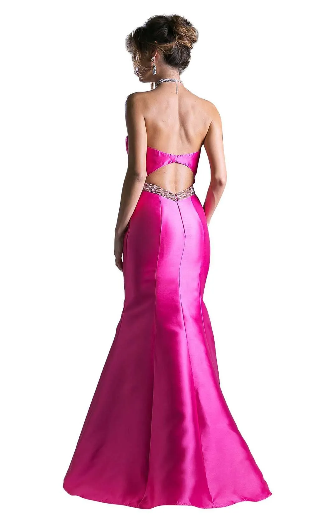 Cinderella Divine ML400 Dress