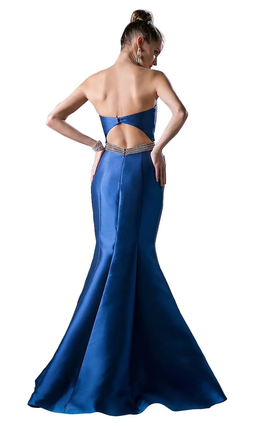 Cinderella Divine ML400 Dress