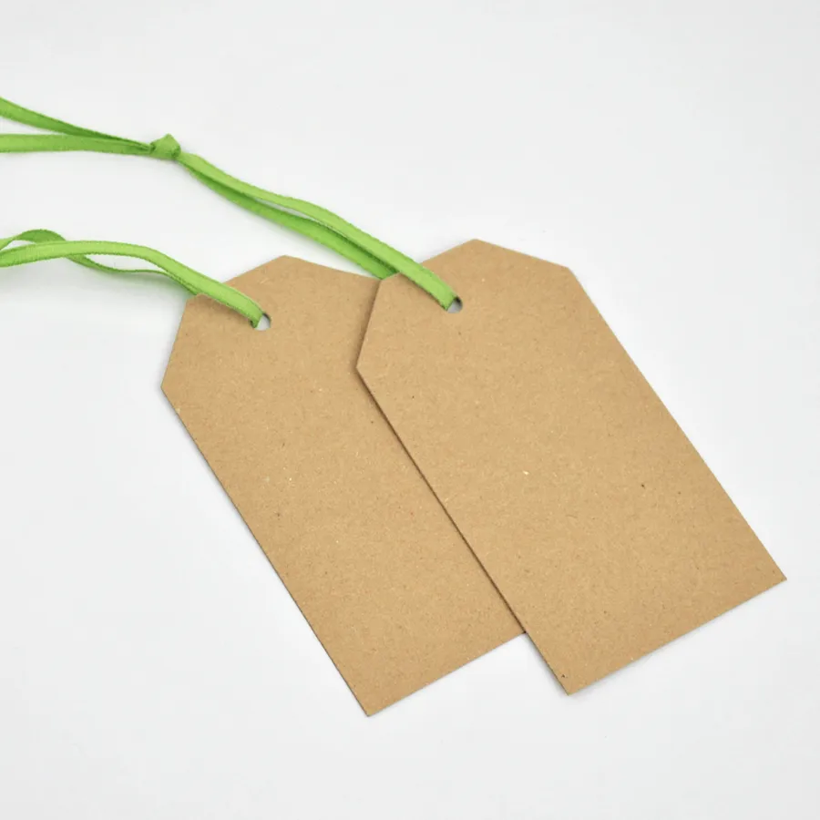Luggage Kraft Gift Tags Apple Green (50)