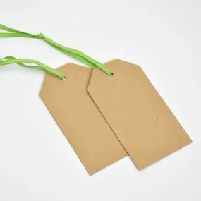 Luggage Kraft Gift Tags Apple Green (50)