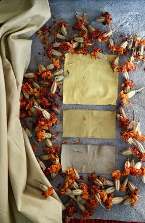 Organic Marigold Flowers for Dyeing